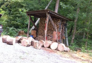hickory