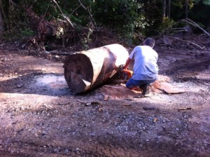 log1