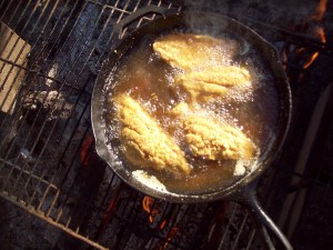 campfire catfish