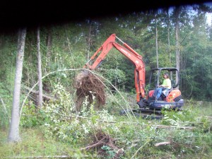 clearing buikd site