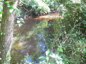 my creek