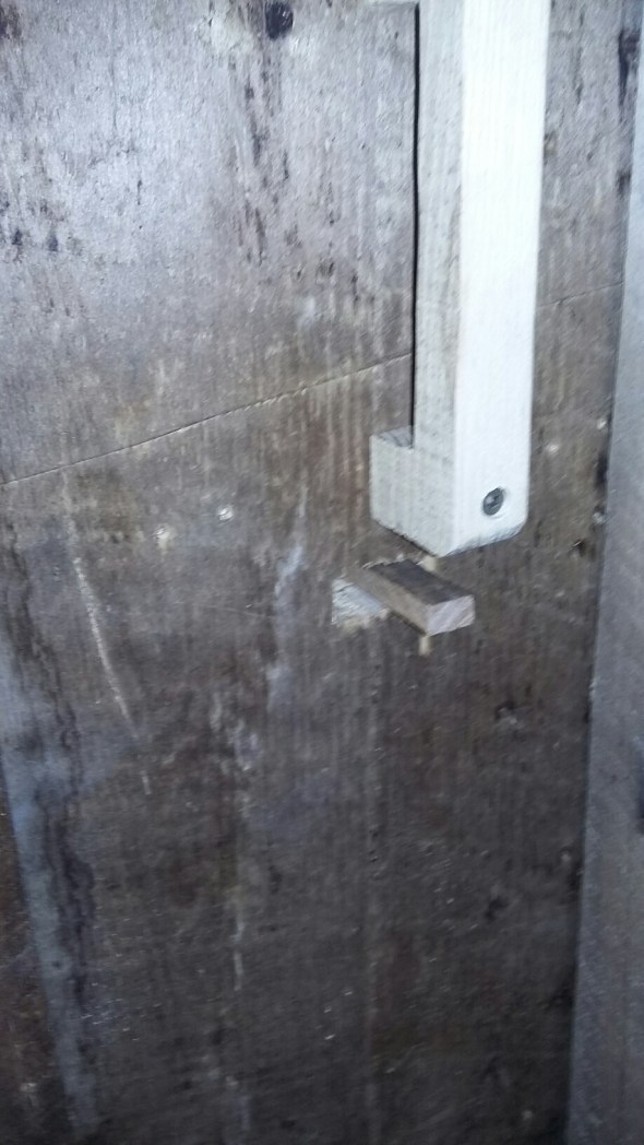 20160630_165652.jpg image