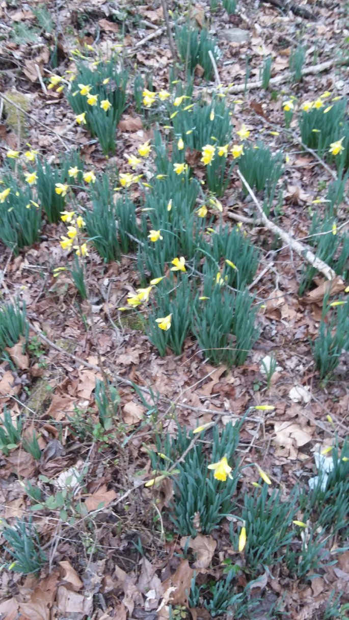 20190214_164356-2003232714.jpg image