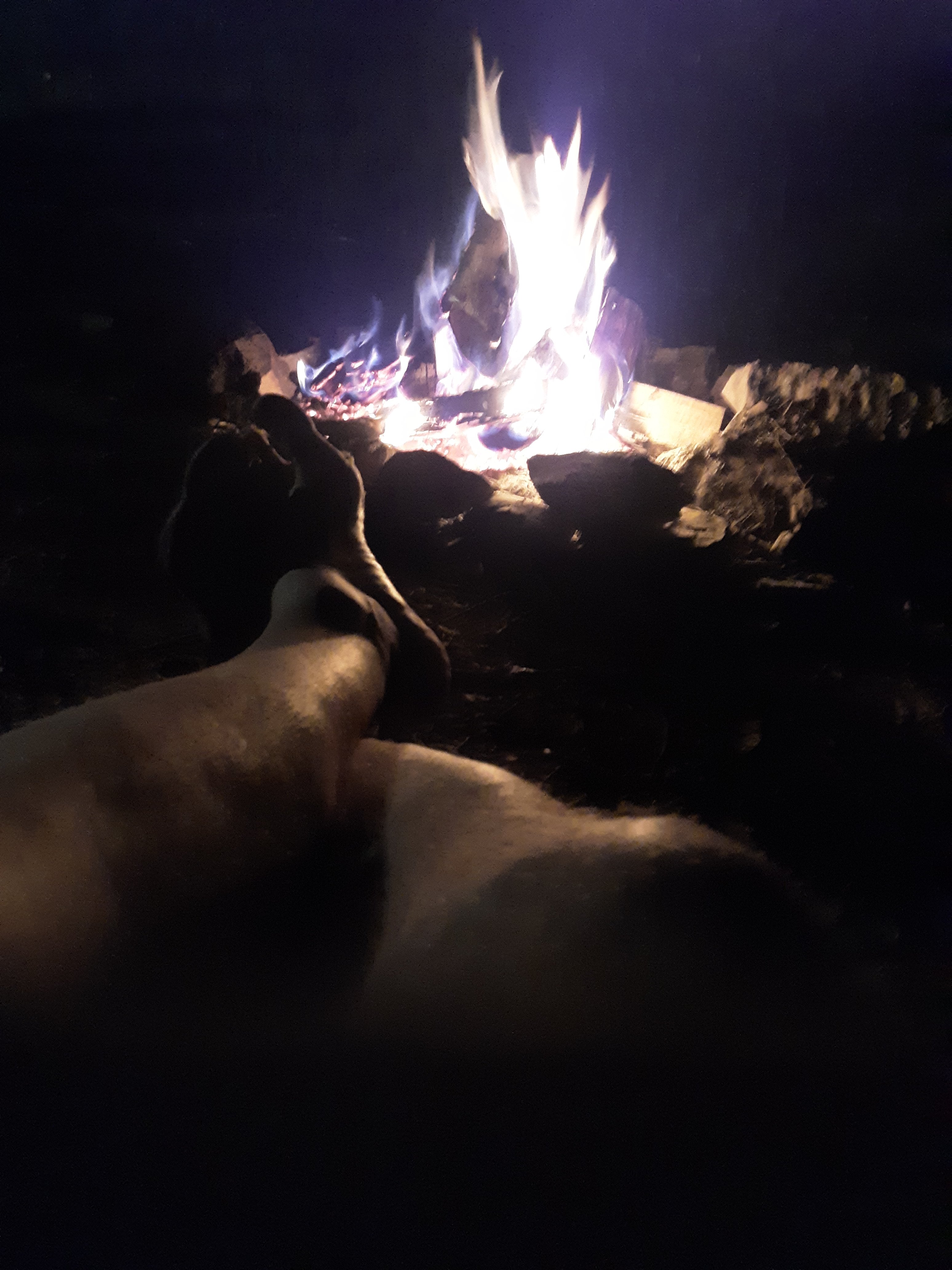 20200530 0018261527799510143363228