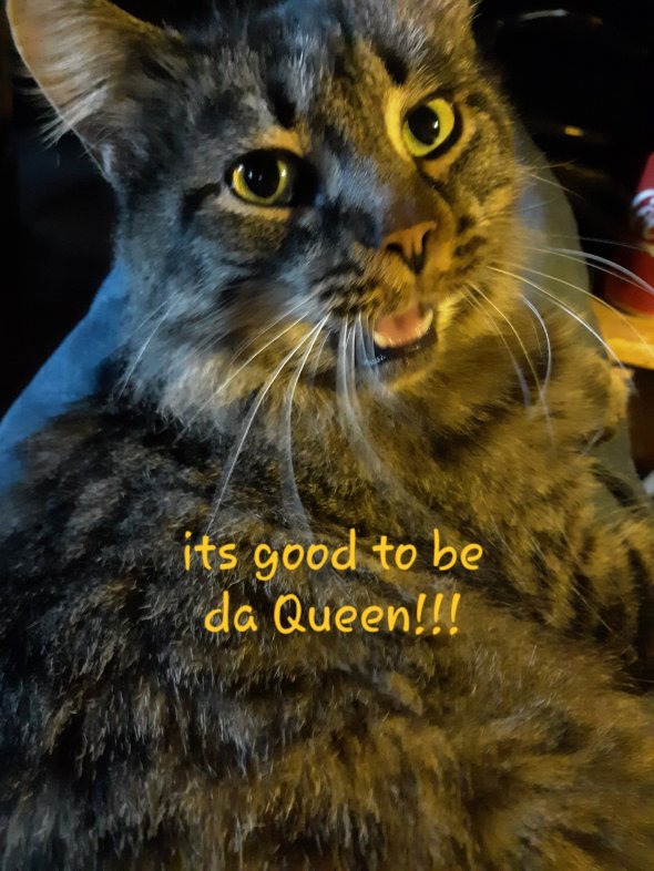 20201105 0641442870872315646729277