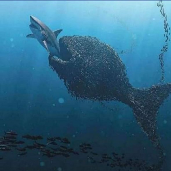 20210104_1644162358273942367183816.jpg 20210104 1644162358273942367183816