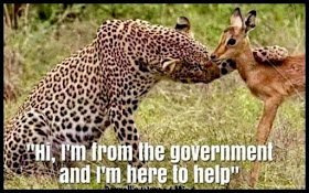 1 1447280832448492812890