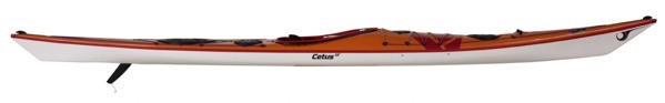 P h cetus performance 3 2534 p