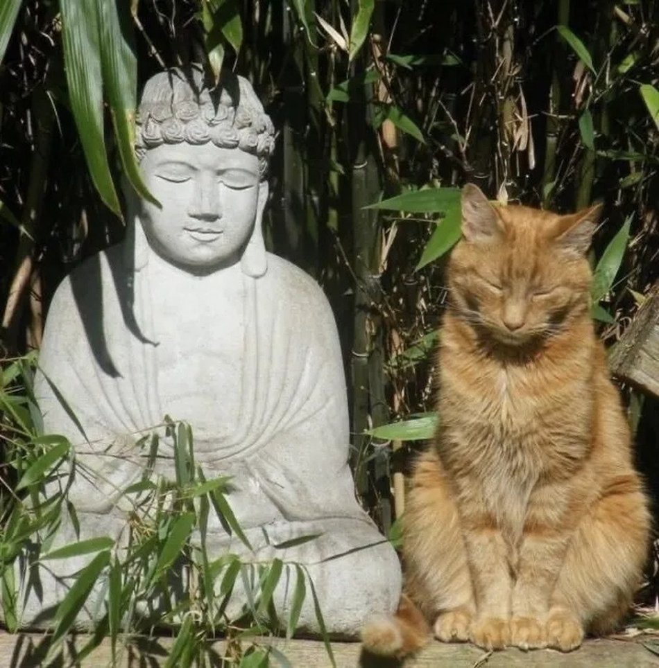 Zen
